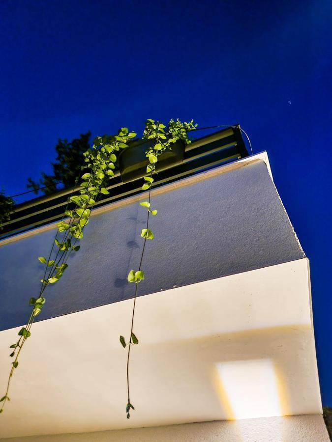 Residence ǁ Corino 비오그라드나모루 외부 사진